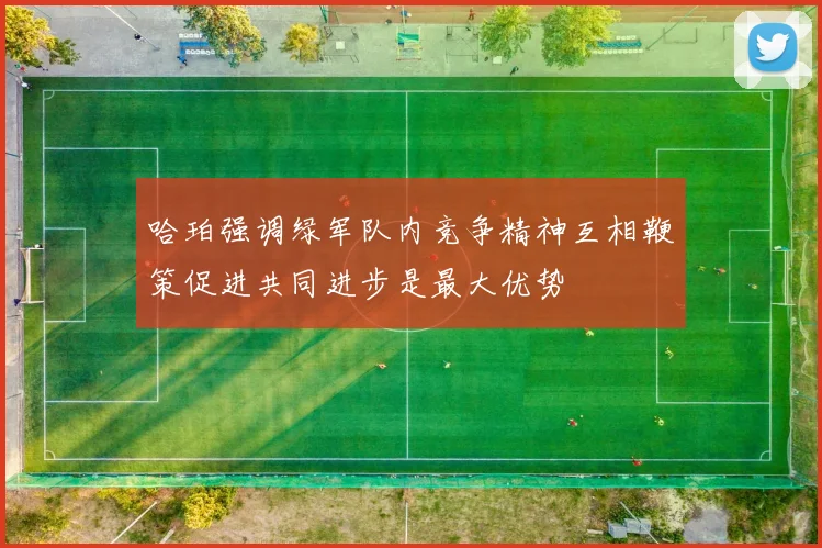 哈珀强调绿军队内竞争精神互相鞭策促进共同进步是最大优势